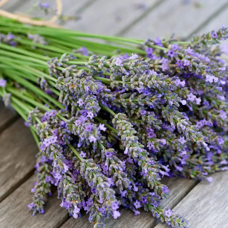 Lavender Scented Soy Wax Candle